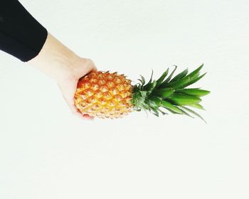 Close-up of cropped knife over white background