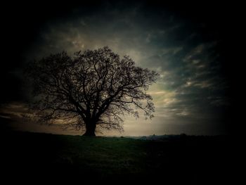 Silhouette bare tree on field against sky