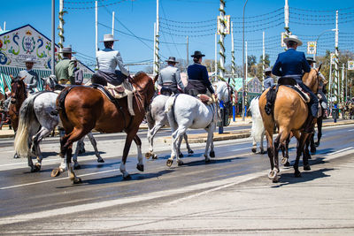 Horses on road