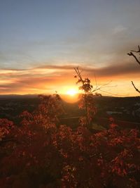 Scenic view of field against sky during sunset