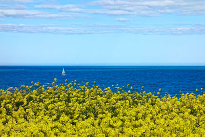 Scenic view of sea against blue sky
