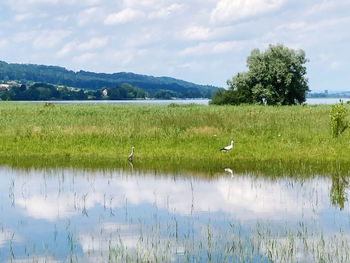 Scenic view of lake against sky