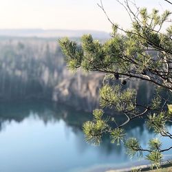 Close-up of plant against lake