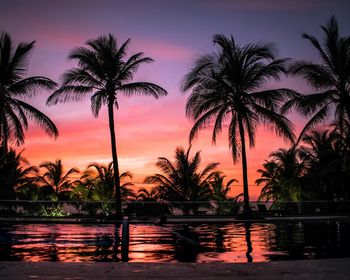 Silhouette palm trees by swimming pool against sky during sunset