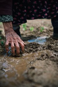 Close-up of senior woman gardening