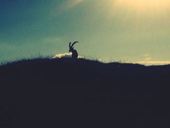 Silhouette of woman on landscape at sunset