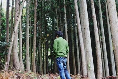 Rear view of man standing by tree trunk in forest