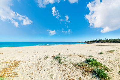 Scenic view of beach against sky