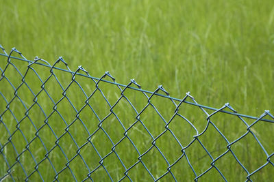 Barbed wire fence on field