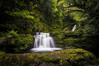 View of waterfall in forest