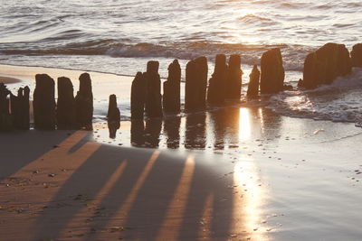 Wooden posts on beach