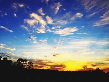 Low angle view of silhouette trees against sky