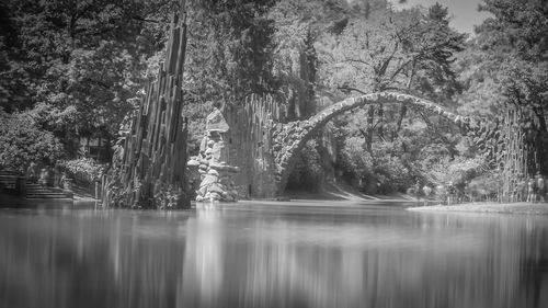 Scenic view of lake in forest