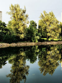 Reflection of trees in lake against sky