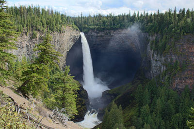 Scenic view of waterfall in forest