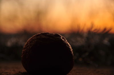 Close-up of banana against sky during sunset