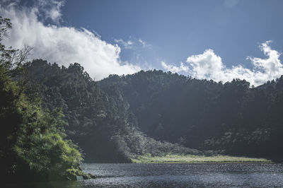 Panoramic view of river amidst trees against sky