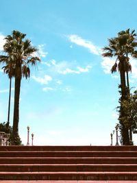 Low angle view of palm trees against blue sky