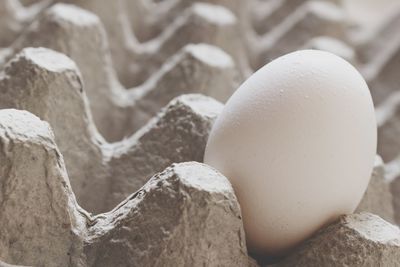 Egg in box. food