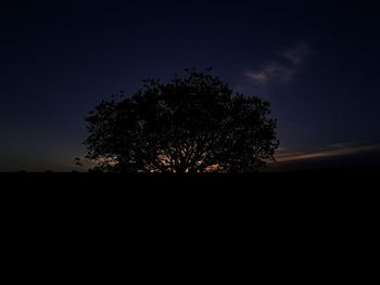 Silhouette tree against sky at night