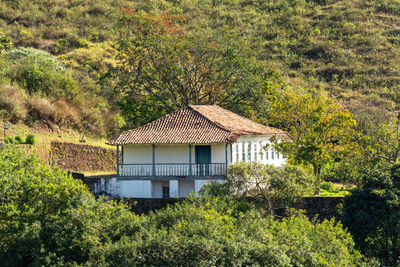 House on field by trees in forest