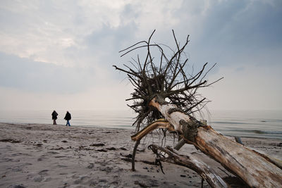 Two people walking on calm beach