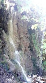 Scenic view of waterfall