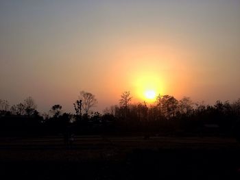 Silhouette of trees on landscape at sunset