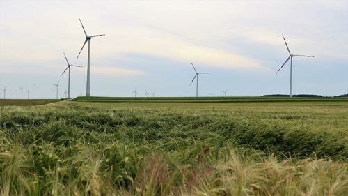 Scenic view of farm against sky