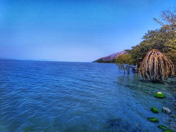 Scenic view of sea against clear blue sky