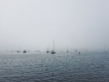 Sailboats sailing in sea against sky during foggy weather