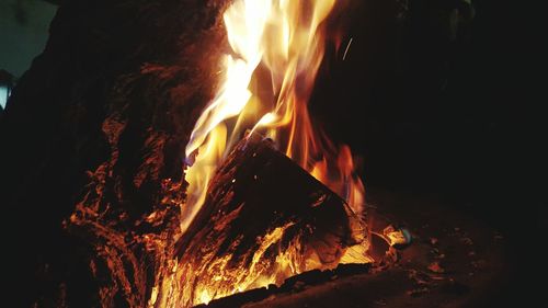 Close-up of bonfire at night