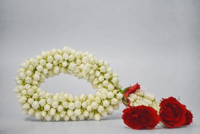 Close-up of red roses against white background