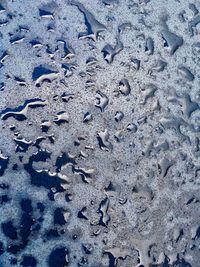 High angle view of footprints on wet sand