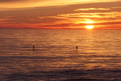 Scenic view of sea at sunset