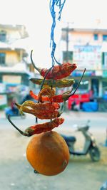 Close-up of orange fruits hanging on table