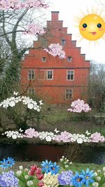 High angle view of flowers blooming on tree