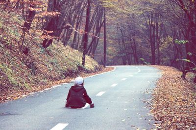 Road passing through forest