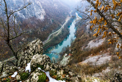 Scenic view of waterfall in forest