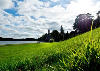 Scenic view of grassy field against sky