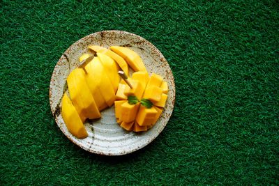 High angle view of fruits on field