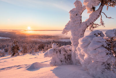 Scenic view of landscape against sky during winter