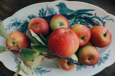 High angle view of apples in plate on table