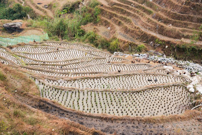 High angle view of a field