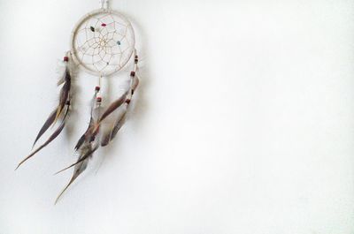 High angle view of feather on white table