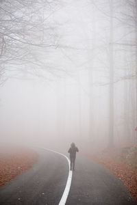Rear view of person walking on foggy road