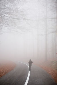 Road amidst bare trees during foggy weather