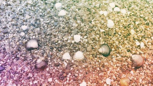 Full frame shot of pebbles