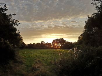 Scenic view of field against sky during sunset