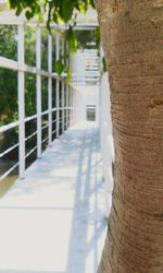 Corridor in sunlight